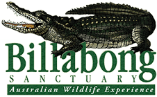 Billabong Sanctuary