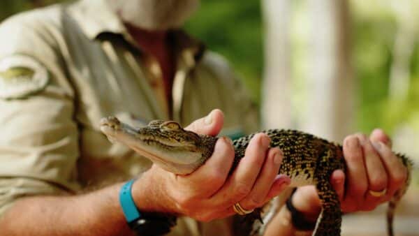 Holding A Croc Ss05