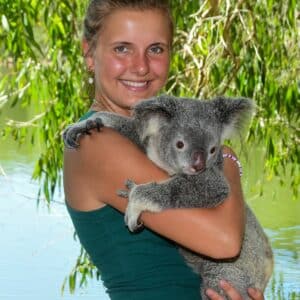 Koala Holding