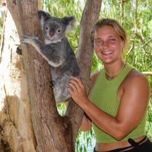 Koala On A Branch