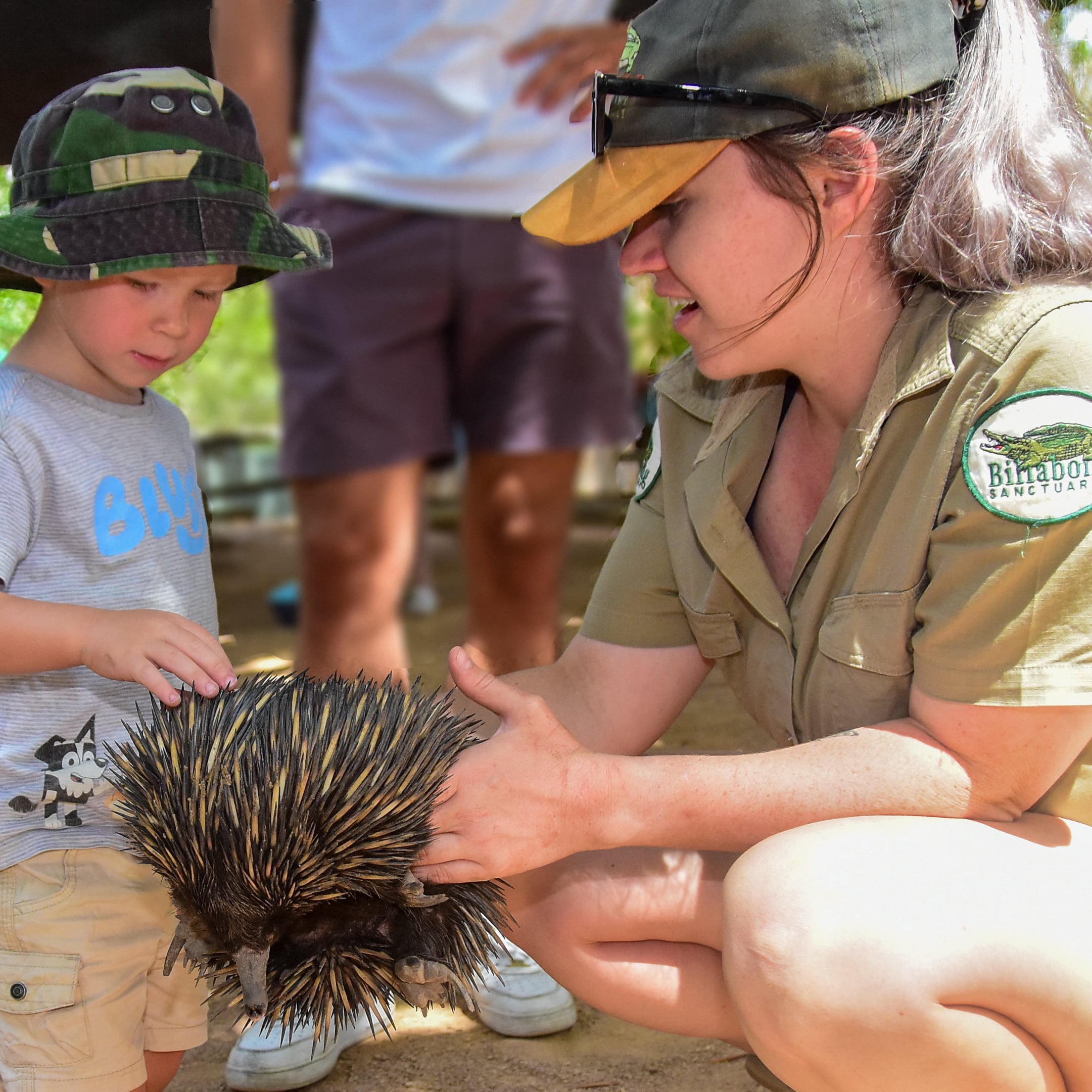 Ggnra Roving Ranger They’re Back!! Our popular Roving Rangers return to Billabong Sanctuary ...
